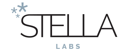 Stella Labs Business Accelerator